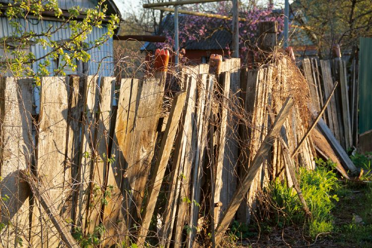 Fence Removal Services